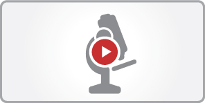 Video Demonstration